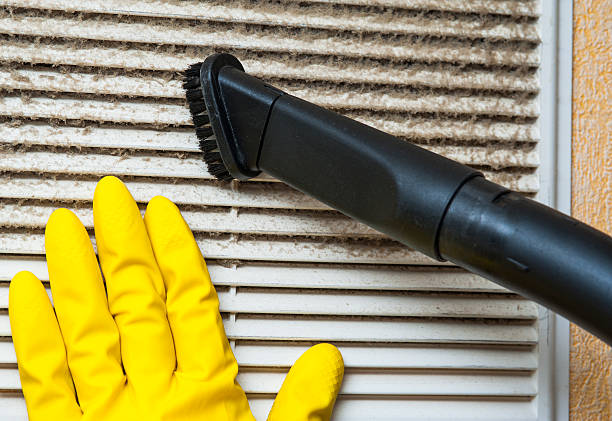 Best Duct Cleaning for Homes  in Corona De Tucson, AZ